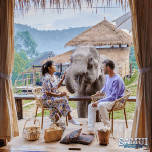 The Elephant Sanctuary Thailand