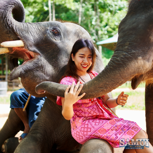 The Elephant Sanctuary Koh Samui